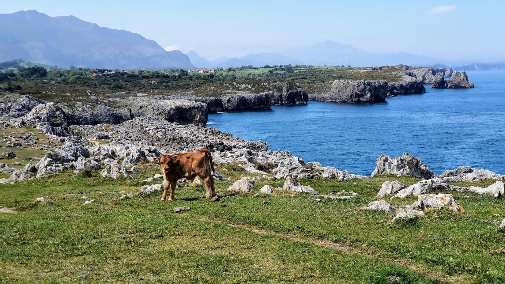 Casa Vacacional Paula Βίλα Llanes Εξωτερικό φωτογραφία