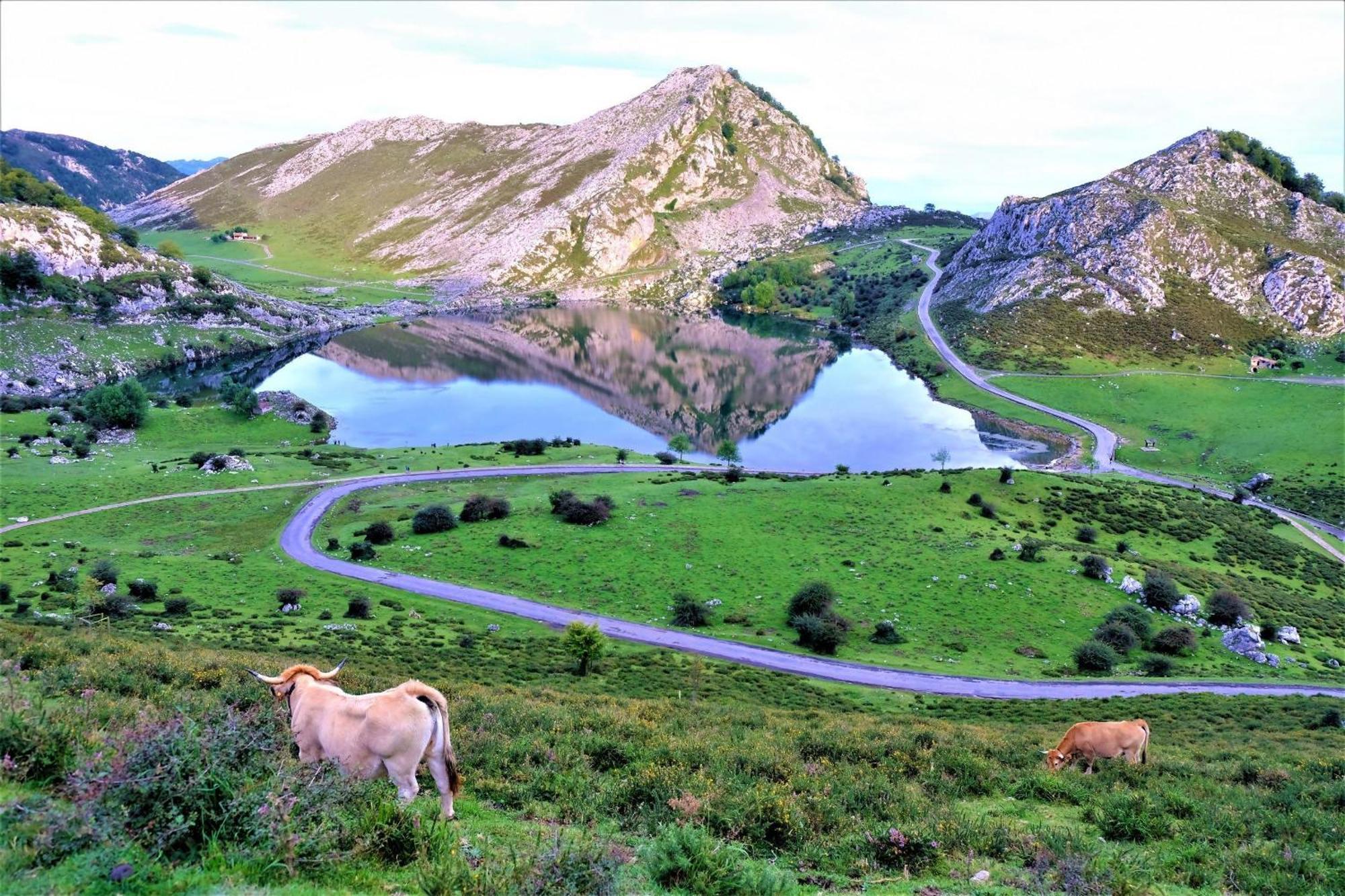 Casa Vacacional Paula Βίλα Llanes Εξωτερικό φωτογραφία